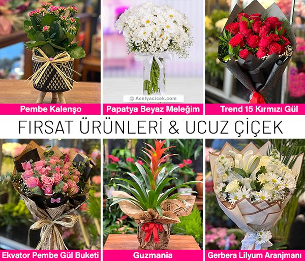 Fırsat ürünleri